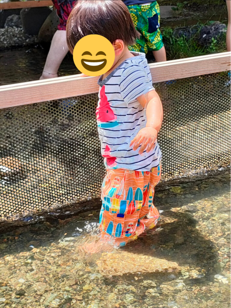 初めてみる泳ぐ魚にのり吉（１歳半）、大興奮！！