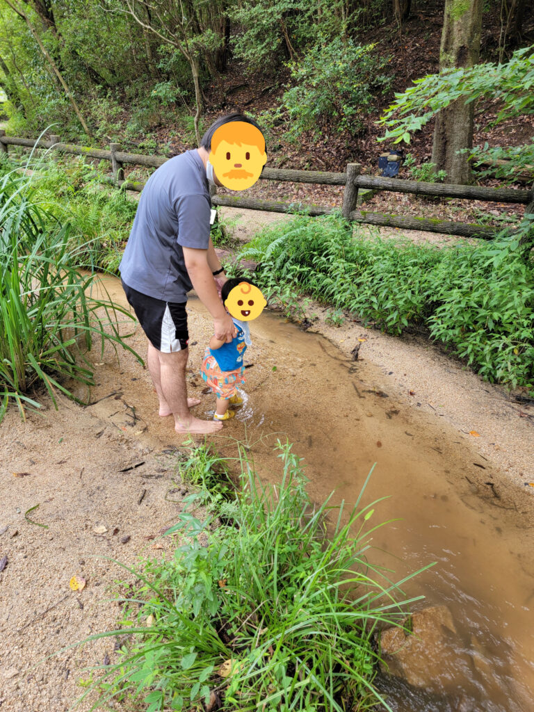 小川の深さはくるぶし〜膝下くらいの深さ