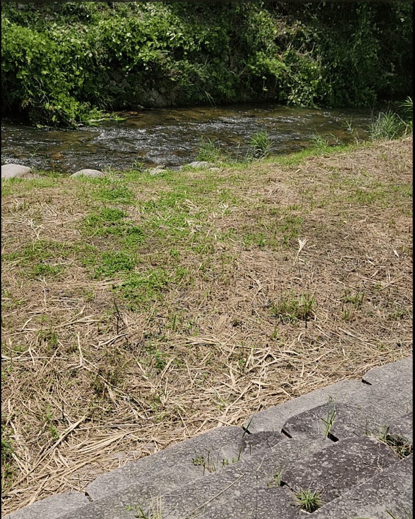 水路の奥には川が流れてて、ここでも遊べそうやで！